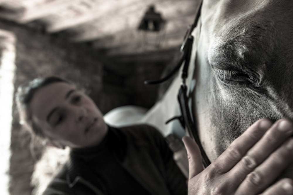Naturopathie équine - Soins naturels pour les chevaux